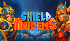 Air Dice - Shield Maidens Dice